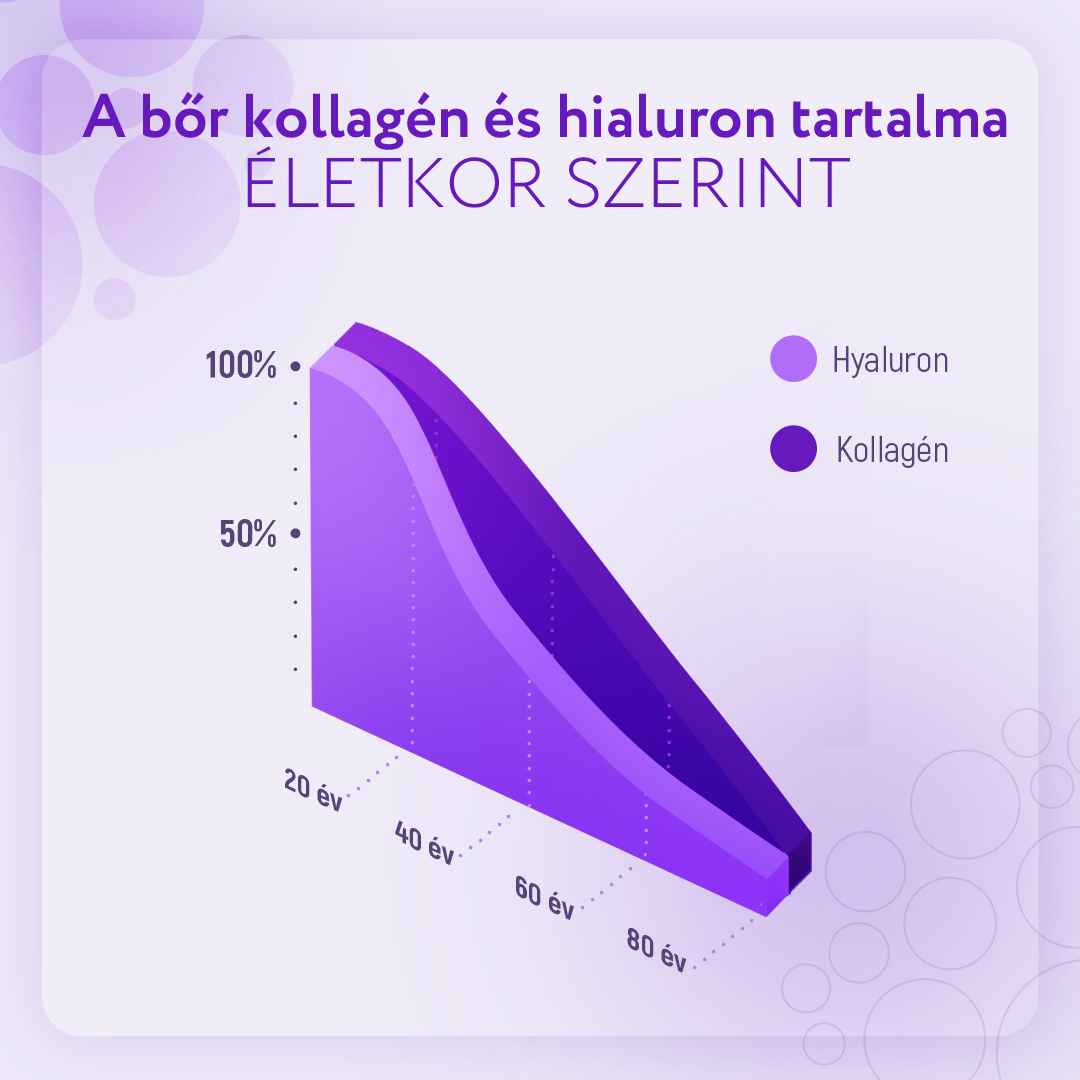 A bőr kollagén és hialuron tartalma