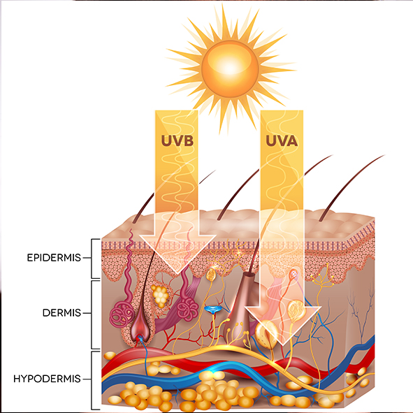 UVA, UVB és UVC sugárzás