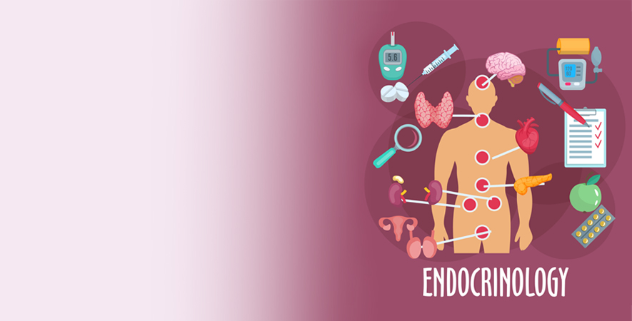Endokrinológia Endokrinológia
